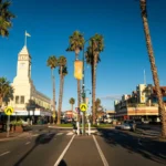 A sunlit coastal street lined with tall palm trees