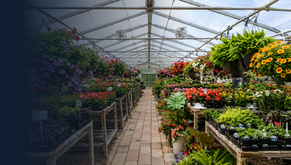 online gardening seed business for sale
