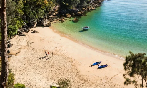 An elevated view of a secluded sandy beach with turquoise water, nestled between a rocky cliff and lush green trees.