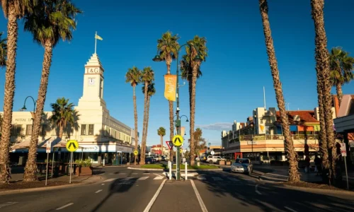 A view of a sunny street corner lined with tall palm trees and various commercial buildings under a deep blue sky.