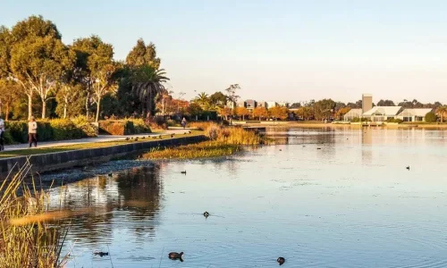 A view of a calm lake in a suburban park, featuring ducks swimming in the water and a paved walking path where several people are strolling.